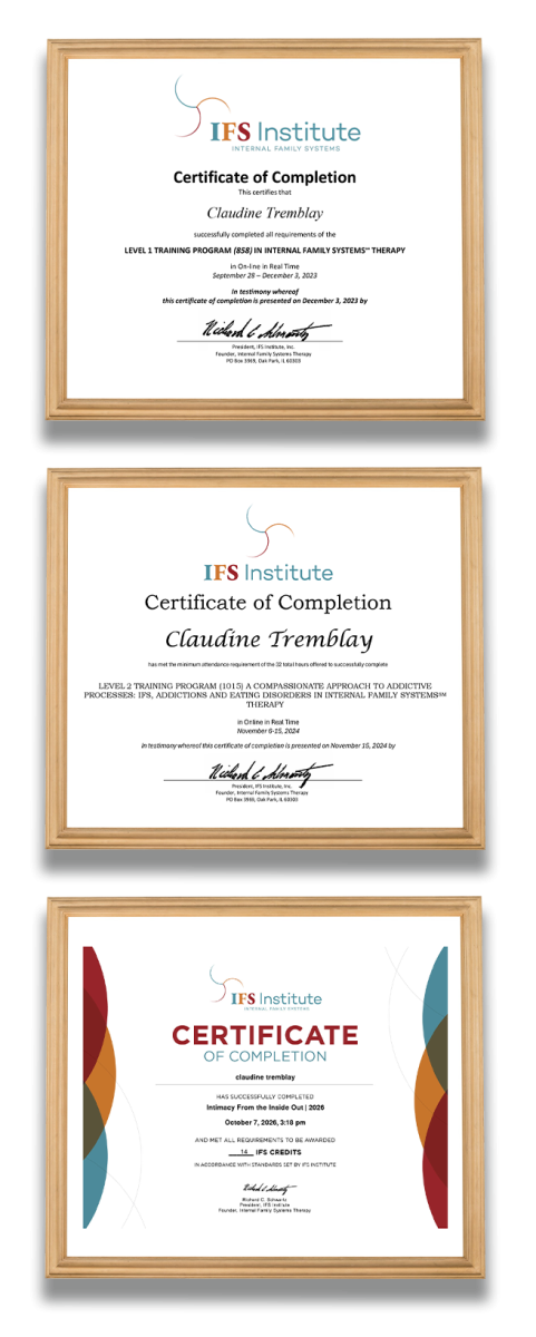 Certification IFS Level 1-2_insideout
